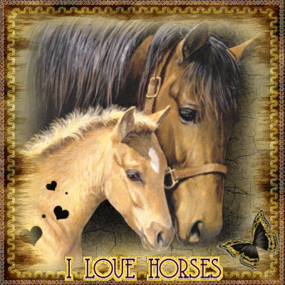 I LOVE HORSES