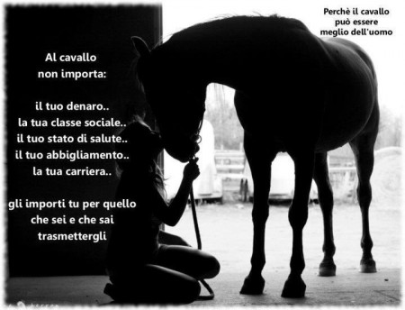 Perche il cavallo puo essere meglio dell'uomo...
